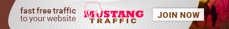 mustang traffic banner